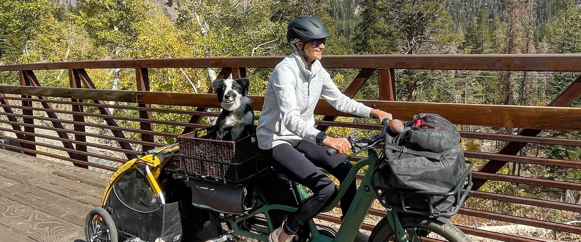Can i ship my motorcycle with live animals in the same shipment?