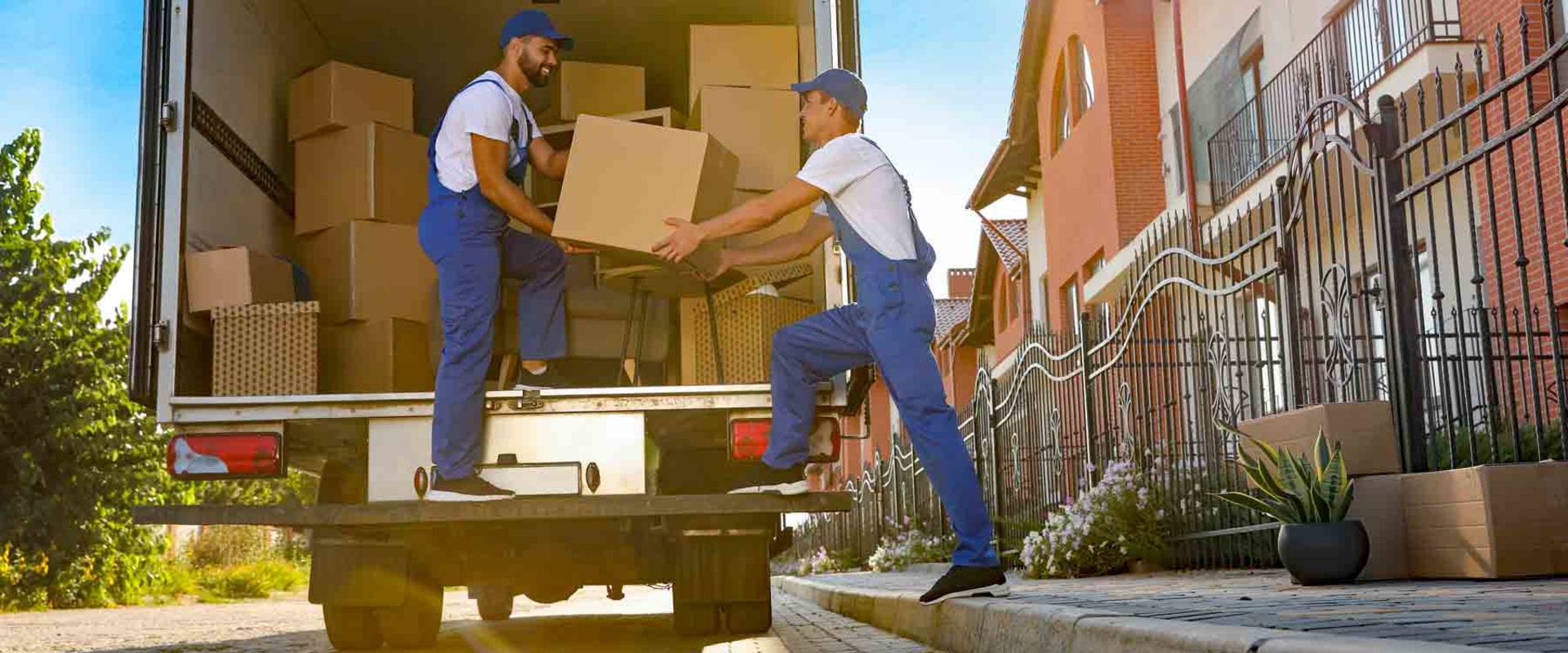 The Ultimate Guide to Dunedin Movers: Tips from an Expert