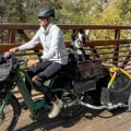 Can i ship my motorcycle with live animals in the same shipment?