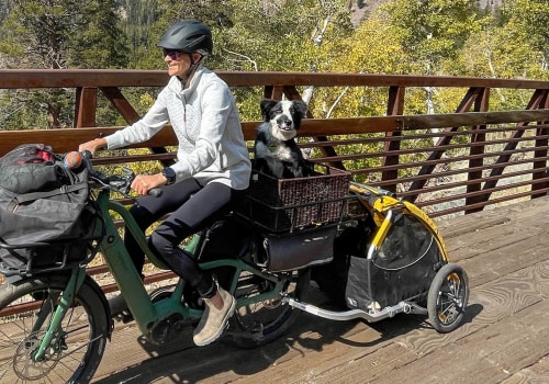 Can i ship my motorcycle with live animals in the same shipment?
